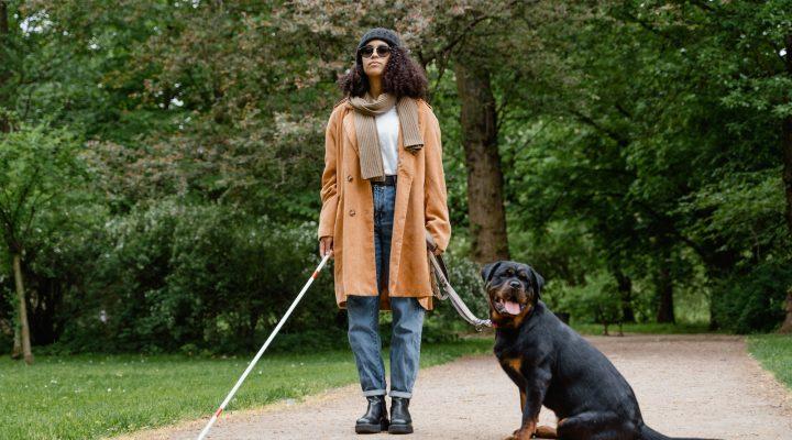 Femme en manteau marron et jeans en denim bleu se tenant à côté d'un chien guide.